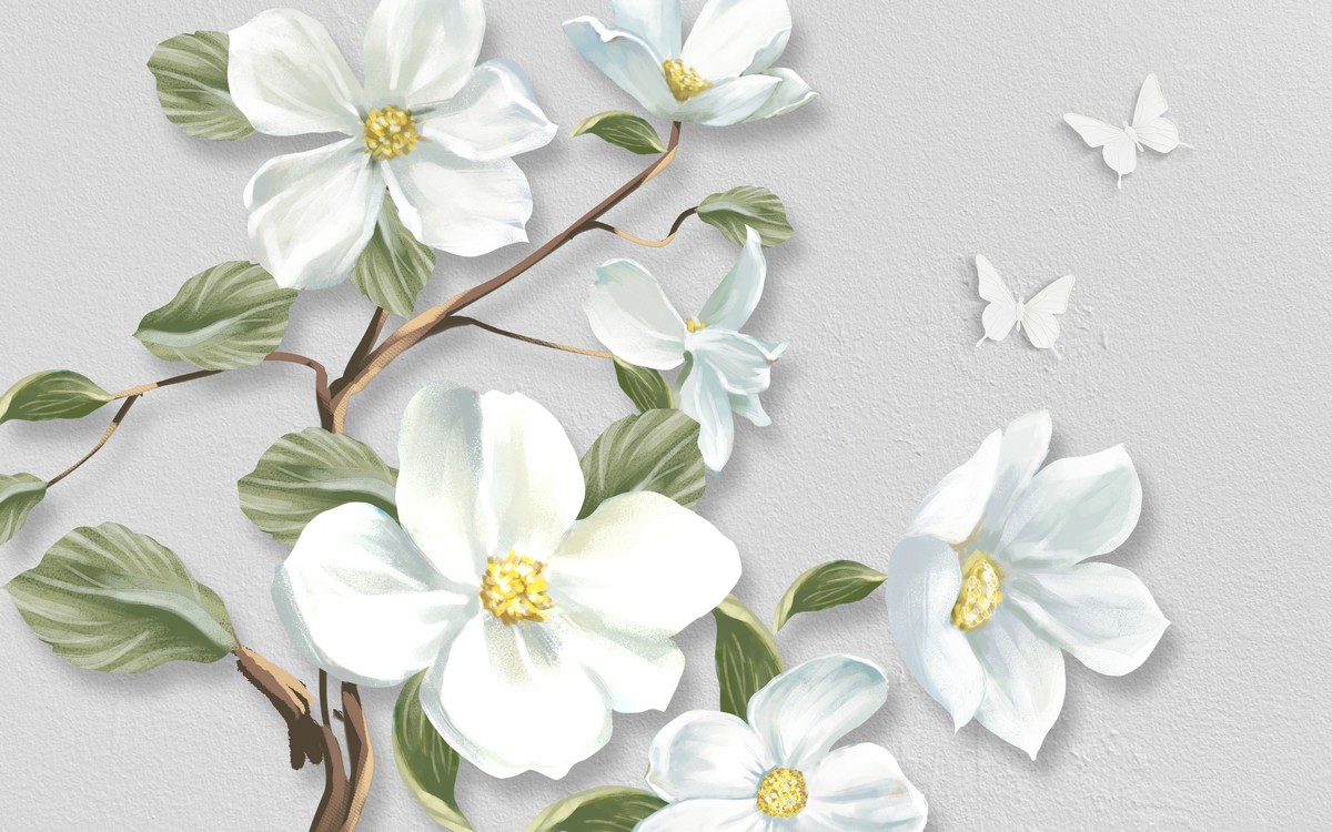 Белые цветы шиповника
